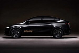 Tesla Robotaxi - The Road to Autonomy